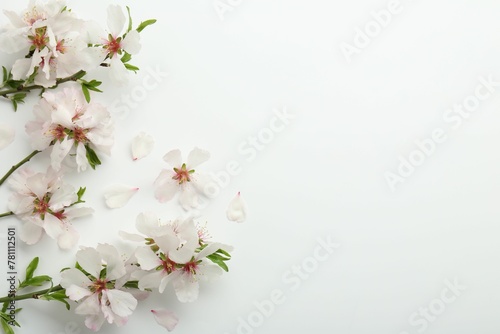 Spring tree branches with beautiful blossoms on white background  flat lay. Space for text