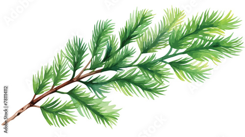 Green fir-tree branch. Hand painted watercolor illu