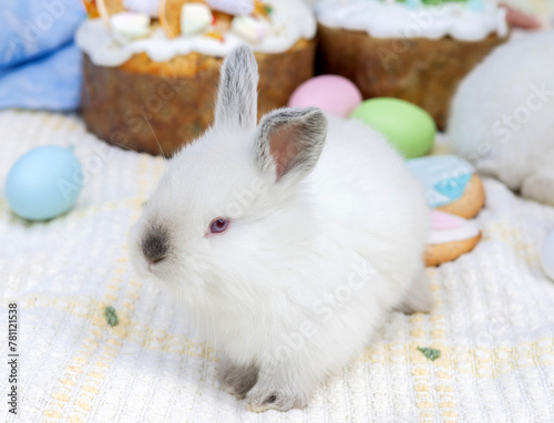 bunny rabbit in knitted basket outside in garden or park.easter sweet bread and colorful eggs as decor. spring time, pet are sleeping or grooming.cute animals, symbol of holiday.