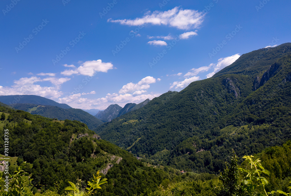 Mountain area in South-Western Romania (Domogled)