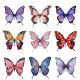 A close up of a bunch of different colored butterflies on a Transparent Background