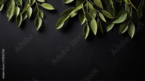 Curry leaves on a black background. photo