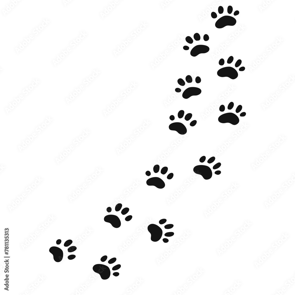 Paw of an animal, canine footprints dog trace