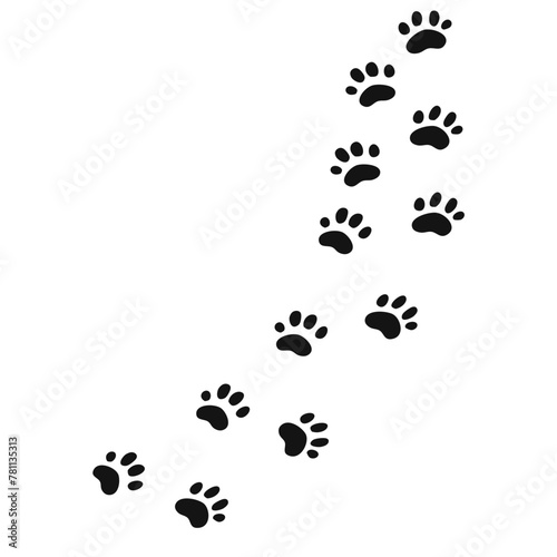 Paw of an animal, canine footprints dog trace