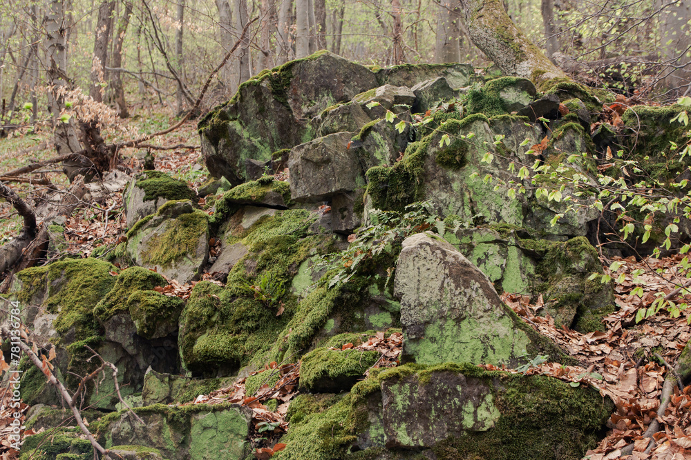 Obraz premium Rocks with moss