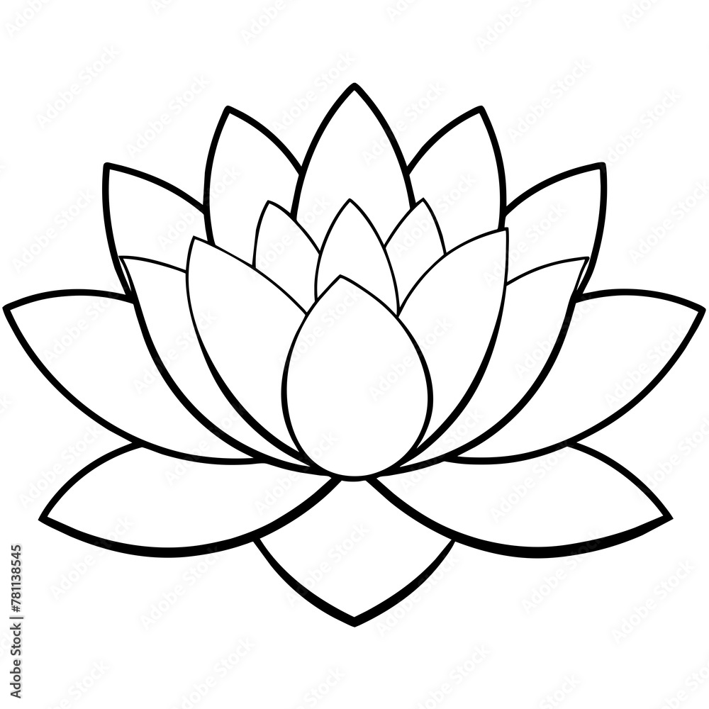 illustration of lotus flower illustration of lotus flower