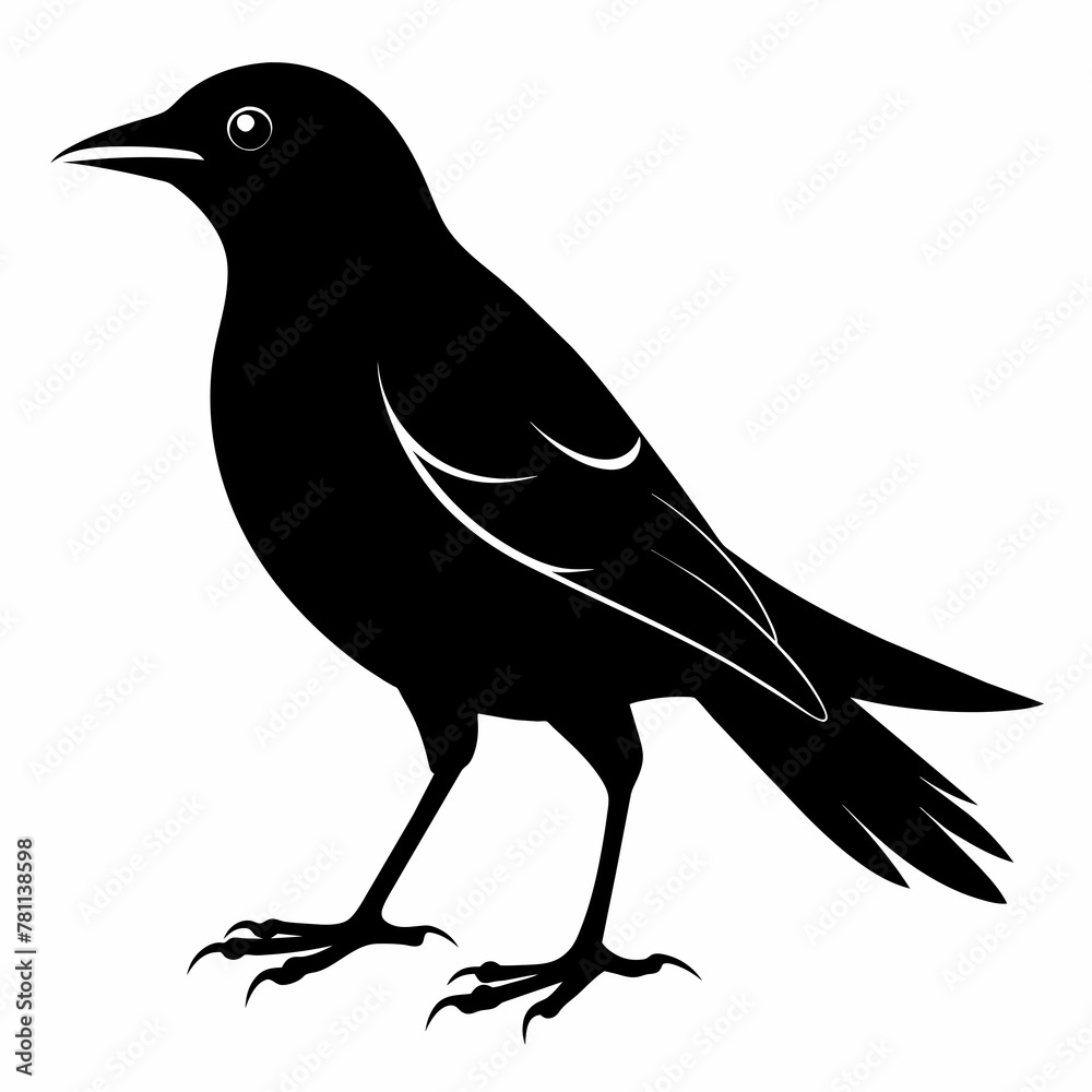 Obraz premium crow on a white background