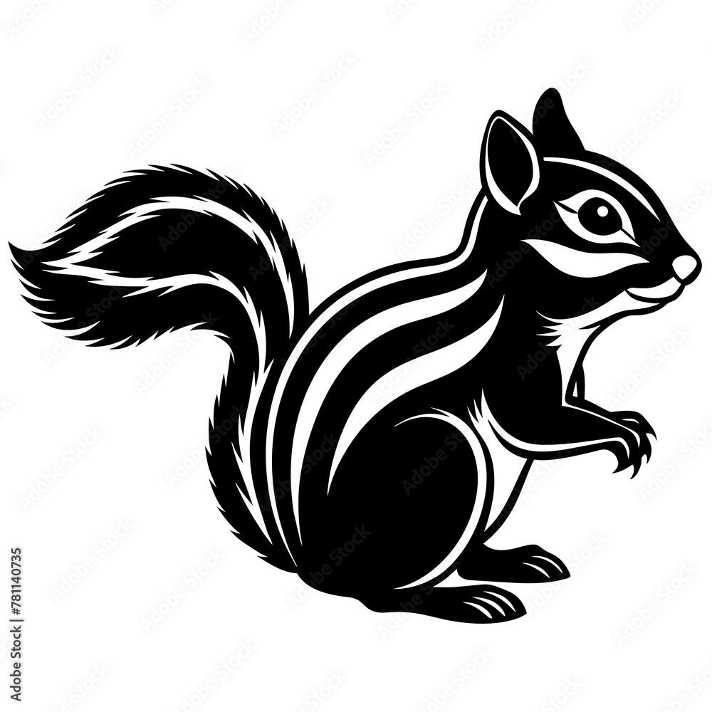 squirrel on a branch squirrel on a branch