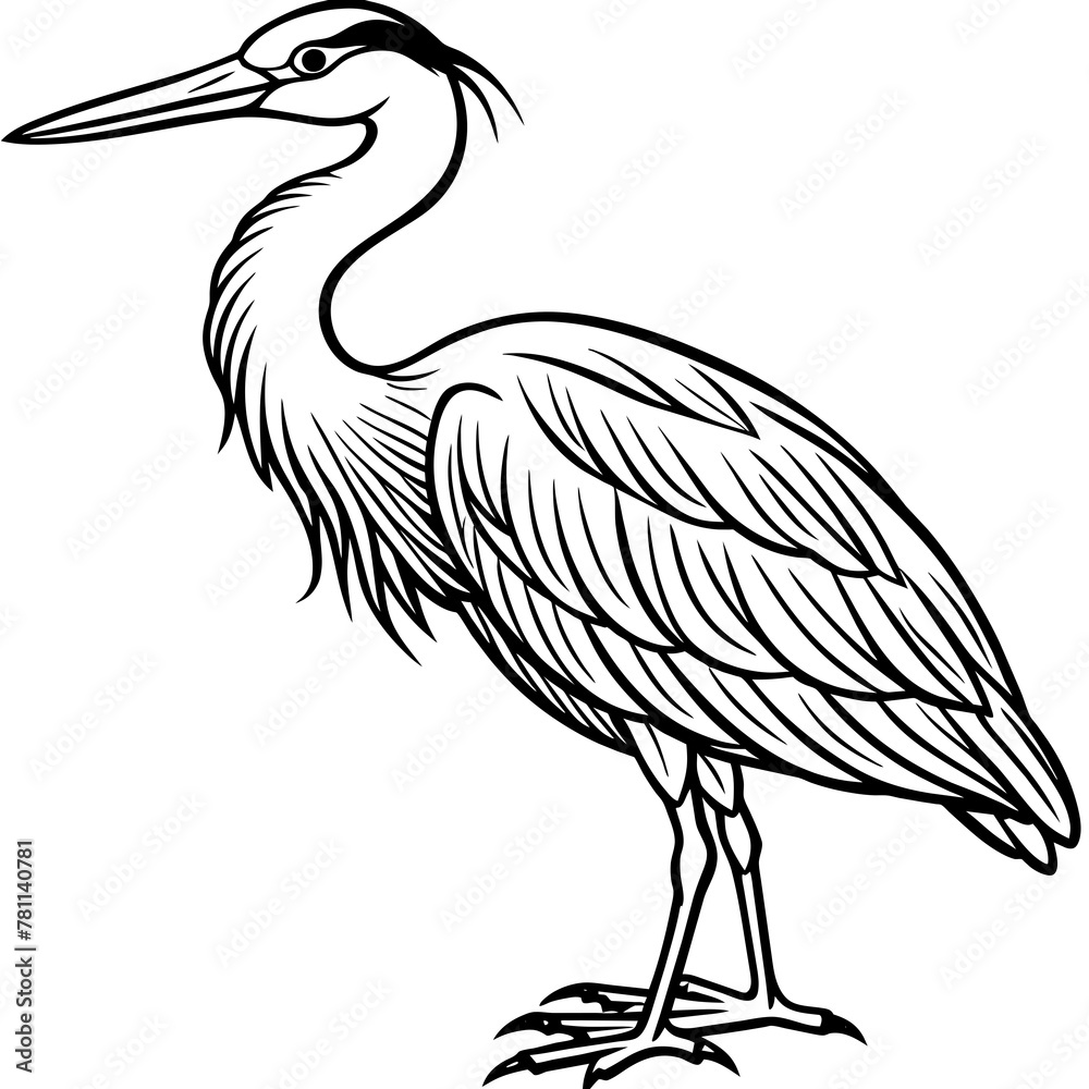 heron ardea cinerea heron ardea cinerea