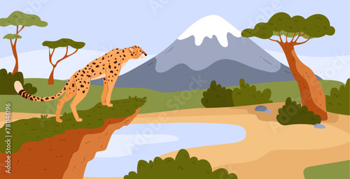 African cheetah standing on cliff savannah landscape, vector big wild cat exotic animal, predator hunting in Safari
