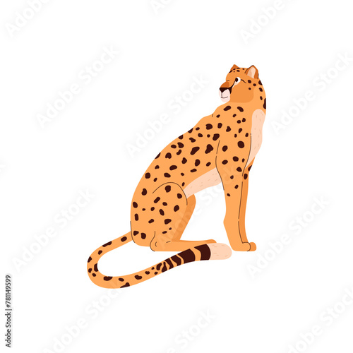 African cheetah sitting, vector beautiful big wild cat with long tail and black spots, fastest exotic animal predator