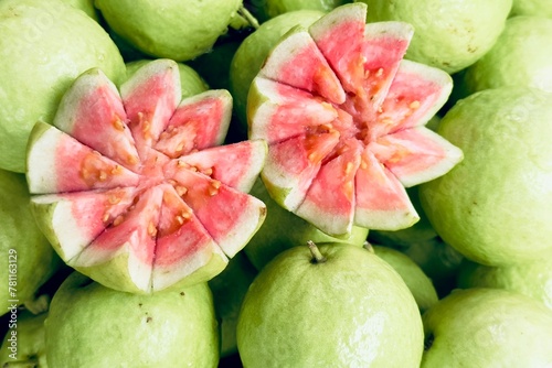 Guava tree psidium guajava Linn photo