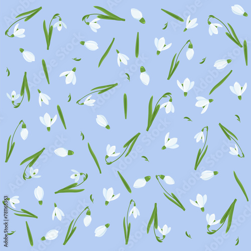 Spring pattern of snowdrops. Spring wallpaper, background from snowdrops. Spring composition of snowdrops on a blue background. Spring flowers.