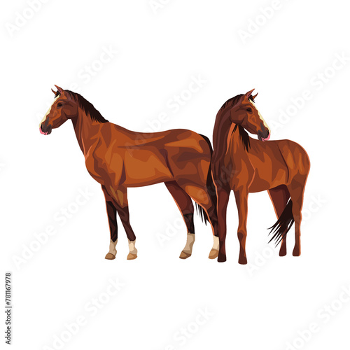 Two horses standing together
