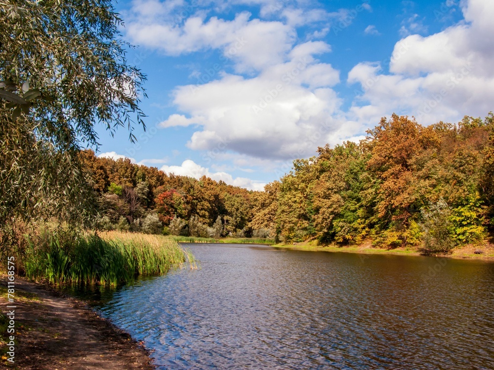 Flowing river in the beautiful autumn forest