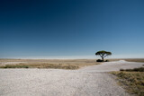 Schotterstraße führt den Blick in die Etosha-Pfanne, Salzpfanne in Namibia, blauer Himmel im Nationalpark Etosha Pfanne
