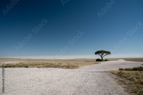 Schotterstraße führt den Blick in die Etosha-Pfanne, Salzpfanne in Namibia, blauer Himmel im Nationalpark Etosha Pfanne