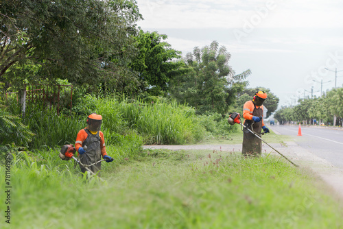 Workers trimming grass along roadside with scythes