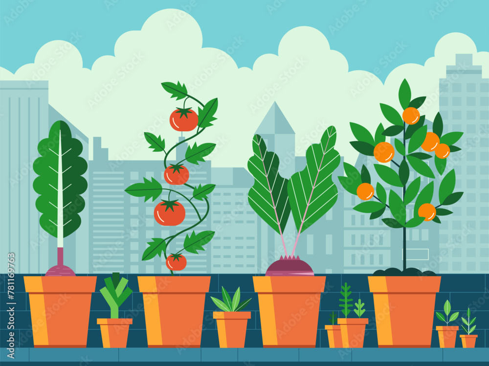 Growing Vegetables on Balcony Urban Garden