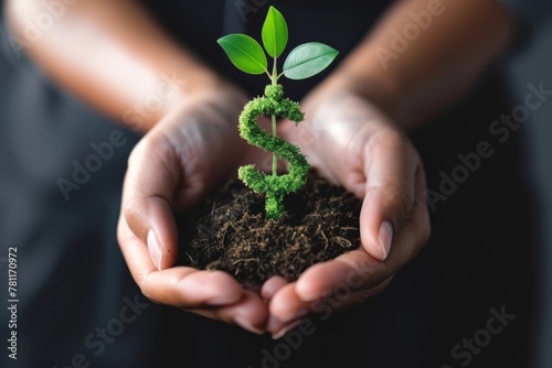 Hands nurturing a green dollar sign tree symbolizing financial growth and investment