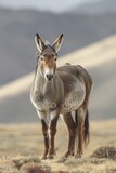 AI generated illustration of Tibetan Wild Ass (Kiang) (Equus kiang)