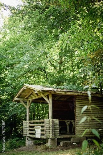 Wooden pavilion in forest © Wirestock