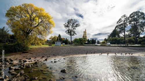 Canvas Print Coast of a lake in New Zealand with birds there under the cloudy sky