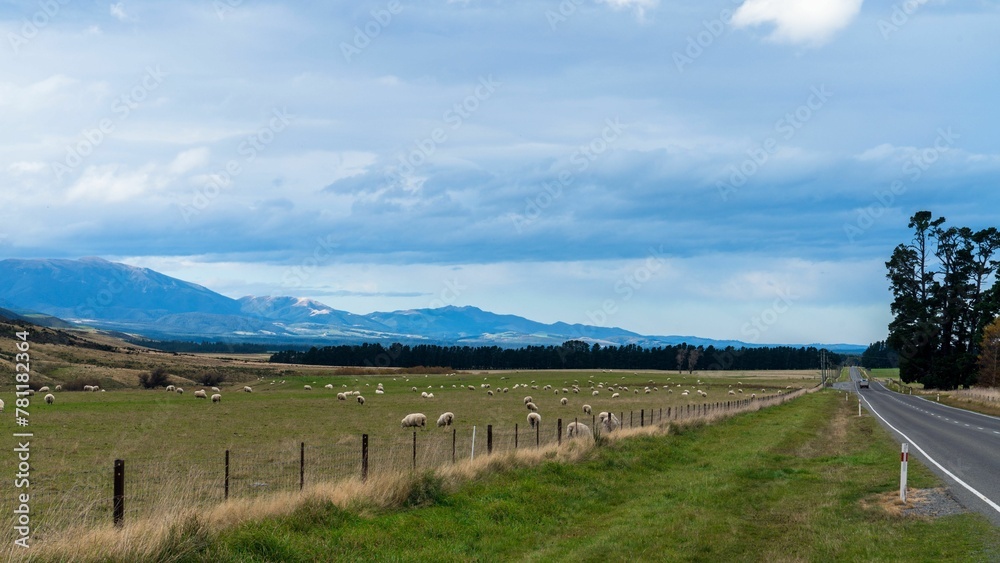 Naklejka premium Scenic view of farmland filled with pasture seen from the road in the countryside