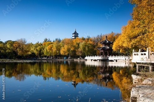 Mesmerizing shot of a lake during the autumn, with trees and traditional temples in the background