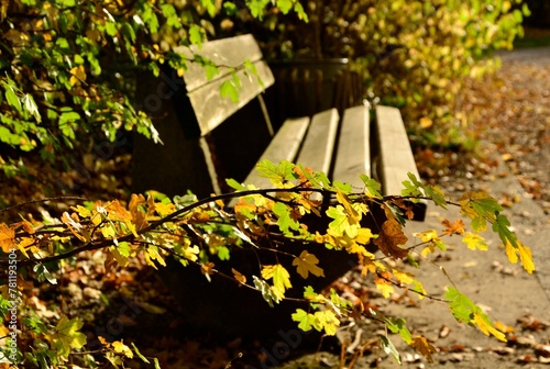 In the serene autumn ambiance of the park, nestled beneath rustling golden leaves, sits a weathered wooden bench, inviting solace and contemplation amidst nature's vibrant seasonal symphony.