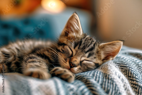 AI-generated illustration of a cute kitten napping peacefully on a cozy bed © Wirestock
