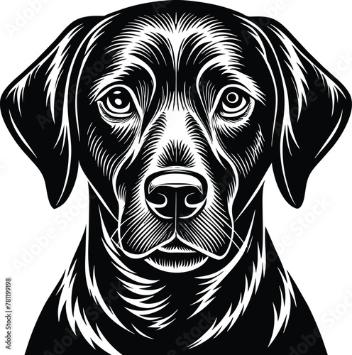 Labrador retriever dog vector black and white