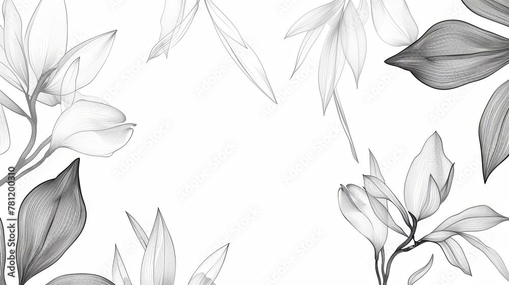 Fototapeta premium Line art background of flowers on a white background.