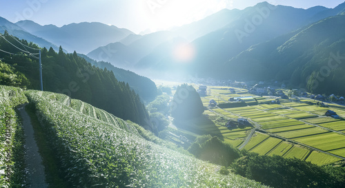 夏 日本の田園里山 田舎の風景 遠くに臨む山と青空と雲 夏休み・帰省・自然のイメージ背景