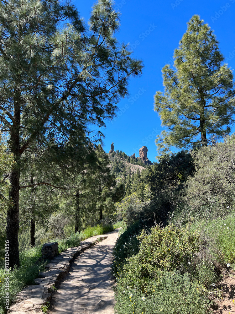 Fototapeta premium Path towards Roque Nublo
