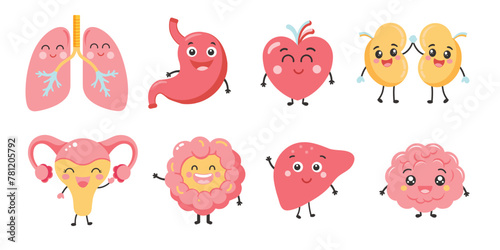 Cute smiling happy human healthy strong organs set. cartoon character illustration icon design. Isolated on white background. Heart, liver, brain, stomach, lungs, kidneys,intestine,uterus organ