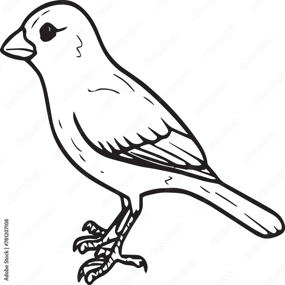 Obraz premium Sparrow coloring pages. Sparrow bird outline vector for coloring book