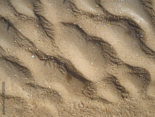 Textured Sandscape