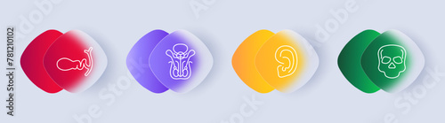Organs set icon. Female reproductive organ, pelvis, ear, skeleton, skull, gradient, flat design. Nurturing and attending to one's physical and reproductive health concept. Glassmorphism style.