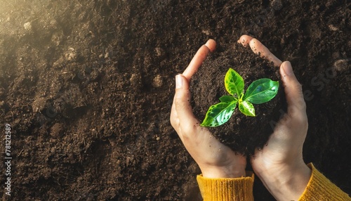 woman hands holding green seedling sprout over soil top view copy space new life eco sustainable living zero waste plastic free earth day investment concept gospel spreading © Dayami