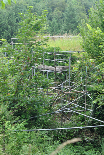Close Up of Old Overgrown Derelict Stone Building with Supporting Scaffolding seen in Woodland 