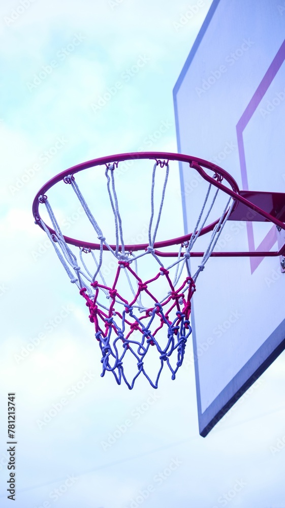 Vertical shot of a pink basketball hoop with a background of a cloudy sky