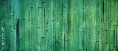 Bamboo Wall Close Up with W...