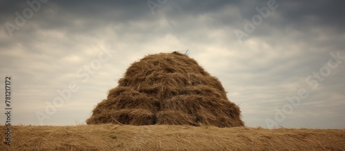 Bird on hay mound in field
