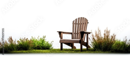 Wooden chair by shrub in grass