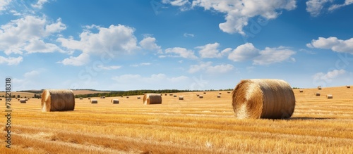 Field of straw bales under ...
