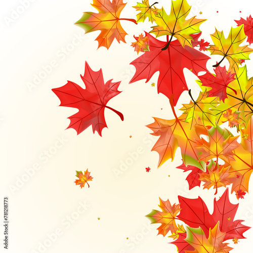Orange Foliage Background Beige Vector. Leaf Celebrate Frame. Red Down Leaves. Ground Plant Card.