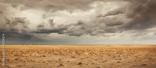 Giraffes grazing under clou...