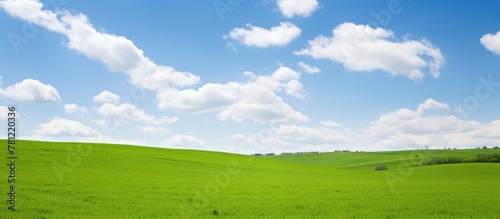 Grassy Field under Blue Sky...