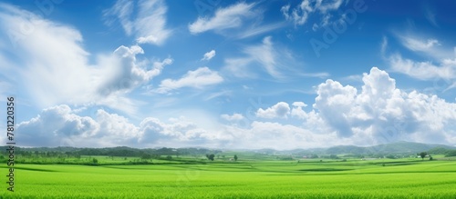 Bright sky over lush meadows